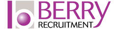 Cleaner (Temporary - Permanent) Logo