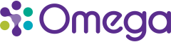Service Delivery Manager (HEMS) Logo